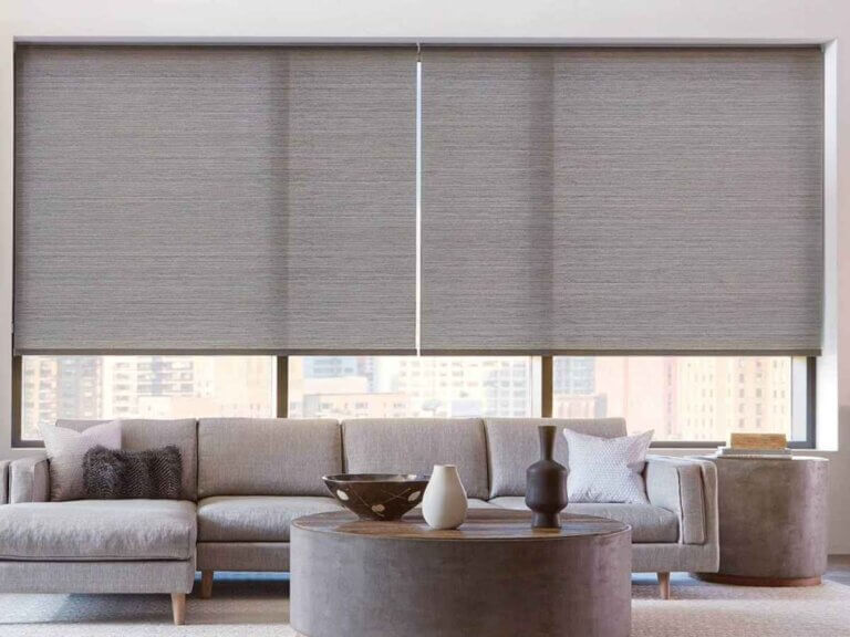 Roller Shades Living Room
